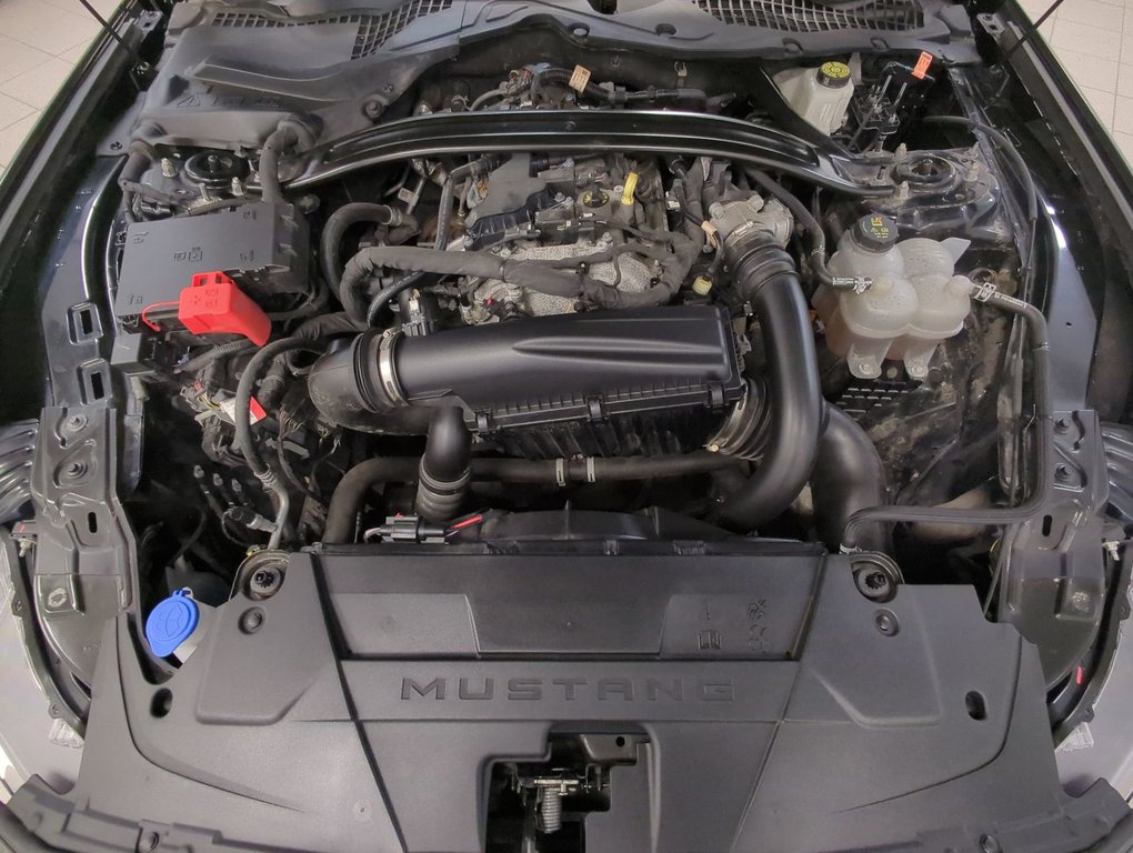 2024 Ford Mustang EcoBoost Premium in Dartmouth, Nova Scotia - 25 - w1024h768px