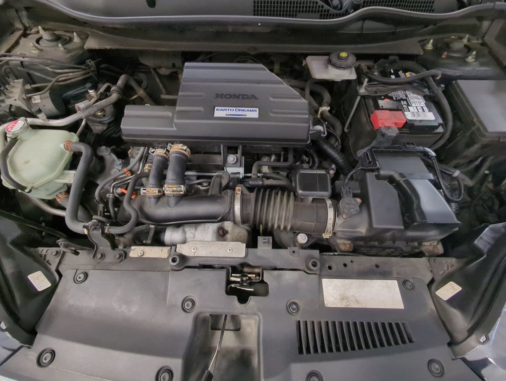 2017 Honda CR-V LX in Dartmouth, Nova Scotia - 24 - w1024h768px