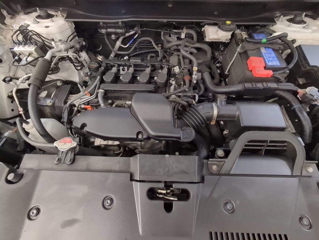 2023 Honda CR-V LX in Dartmouth, Nova Scotia - 24 - w1024h768px