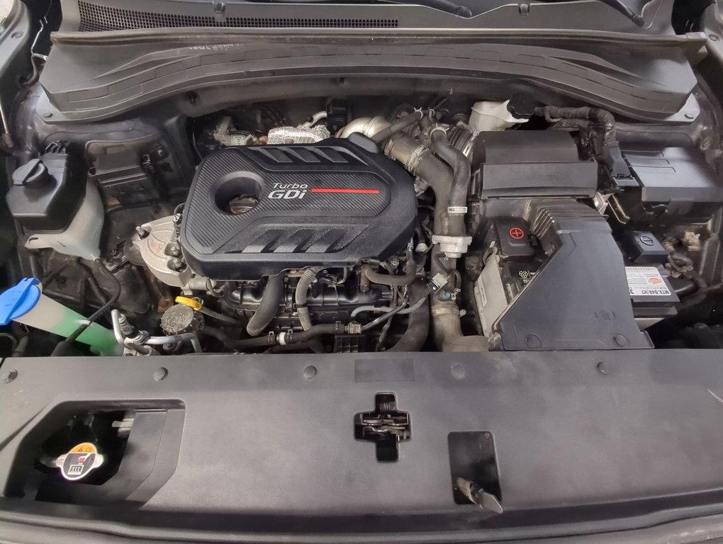 2020 Hyundai Santa Fe Luxury in Dartmouth, Nova Scotia - 26 - w1024h768px