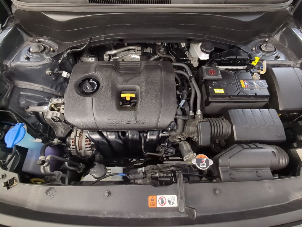 2025 Kia Seltos EX in Dartmouth, Nova Scotia - 25 - w1024h768px