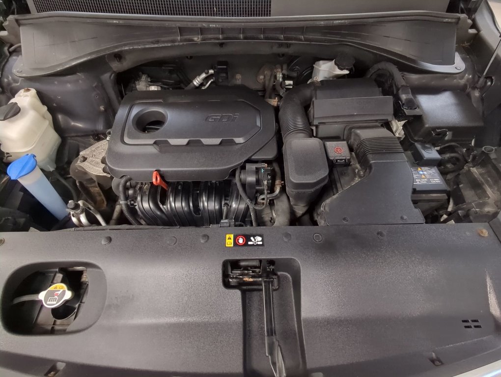2019 Kia Sorento LX in Dartmouth, Nova Scotia - 25 - w1024h768px