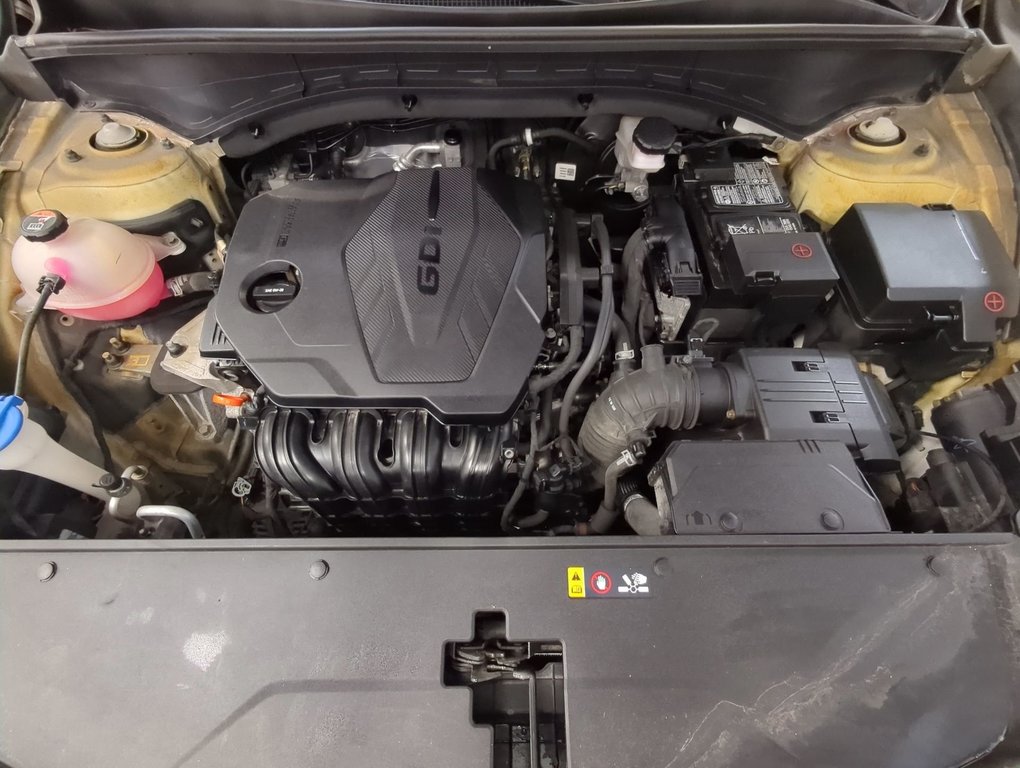 2021 Kia Sorento LX+ in Dartmouth, Nova Scotia - 25 - w1024h768px