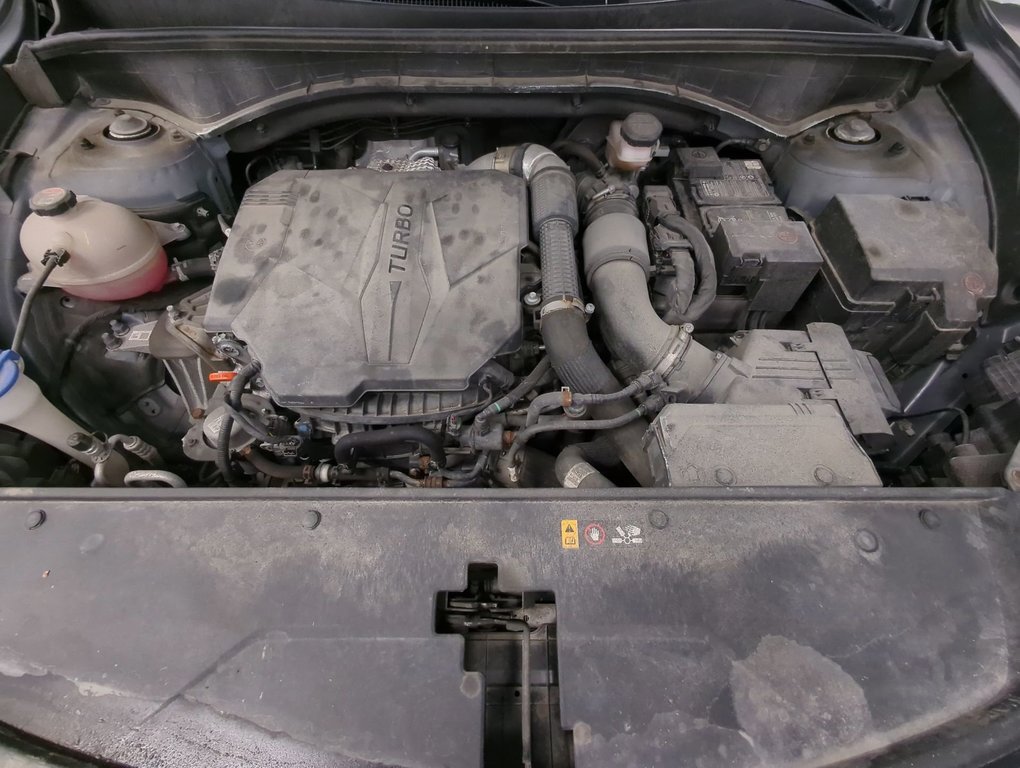 2021 Kia Sorento EX in Dartmouth, Nova Scotia - 27 - w1024h768px
