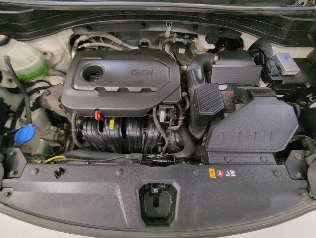 2017 Kia Sportage EX in Dartmouth, Nova Scotia - 24 - w1024h768px