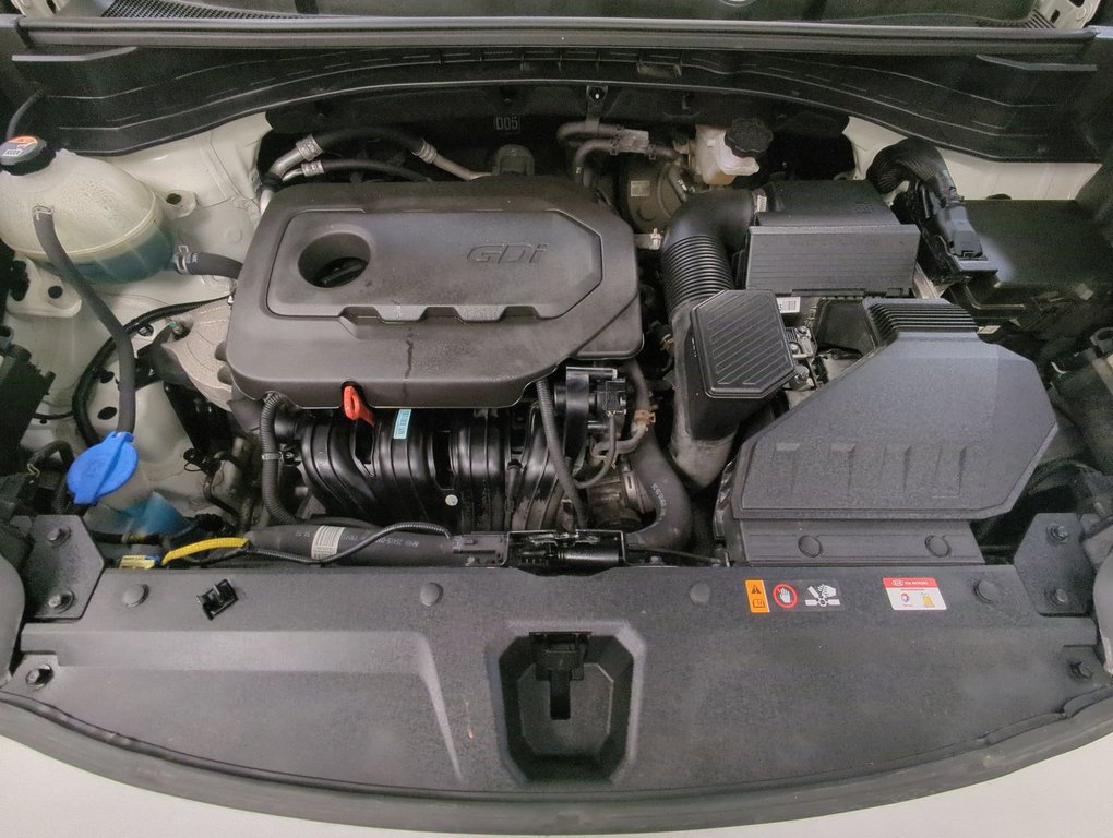 2020 Kia Sportage LX in Dartmouth, Nova Scotia - 24 - w1024h768px