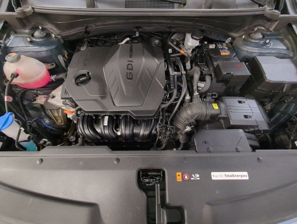 2024 Kia Sportage LX in Dartmouth, Nova Scotia - 24 - w1024h768px