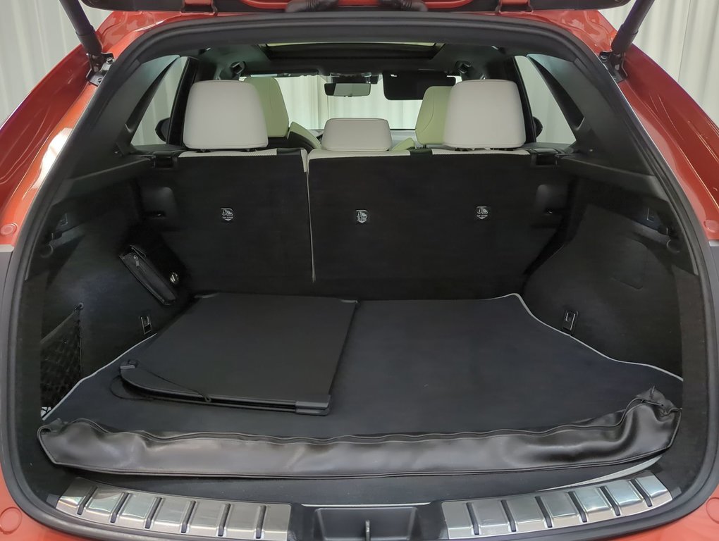 2022 Lexus NX 350 in Dartmouth, Nova Scotia - 24 - w1024h768px