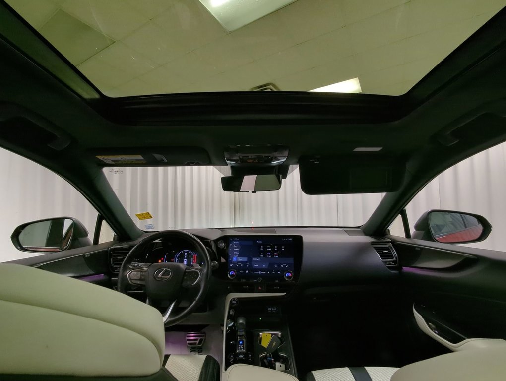2022 Lexus NX 350 in Dartmouth, Nova Scotia - 22 - w1024h768px