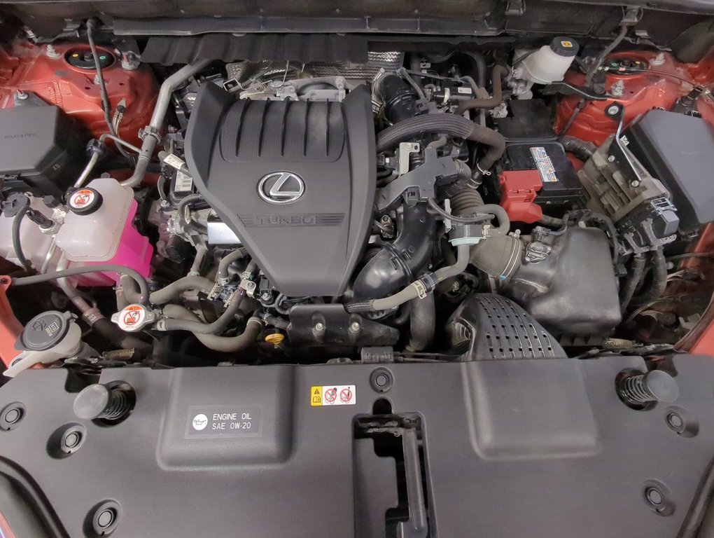 2022 Lexus NX 350 in Dartmouth, Nova Scotia - 26 - w1024h768px