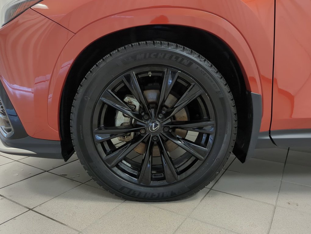 2022 Lexus NX 350 in Dartmouth, Nova Scotia - 10 - w1024h768px