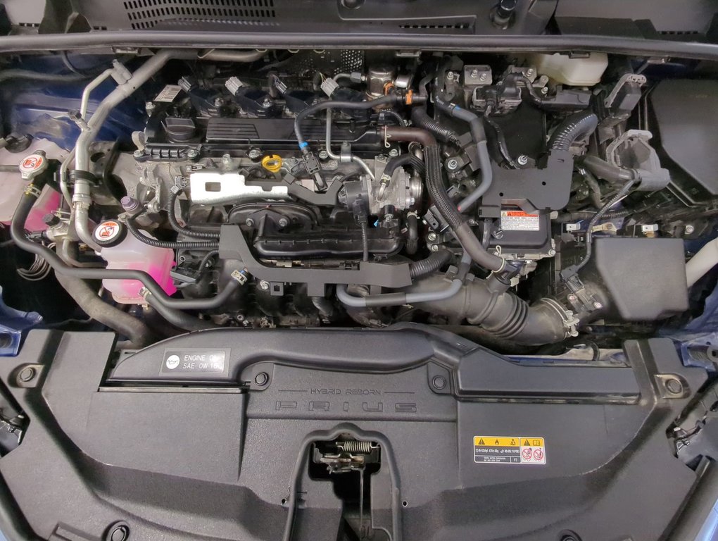 2024 Toyota Prius XLE in Dartmouth, Nova Scotia - 25 - w1024h768px