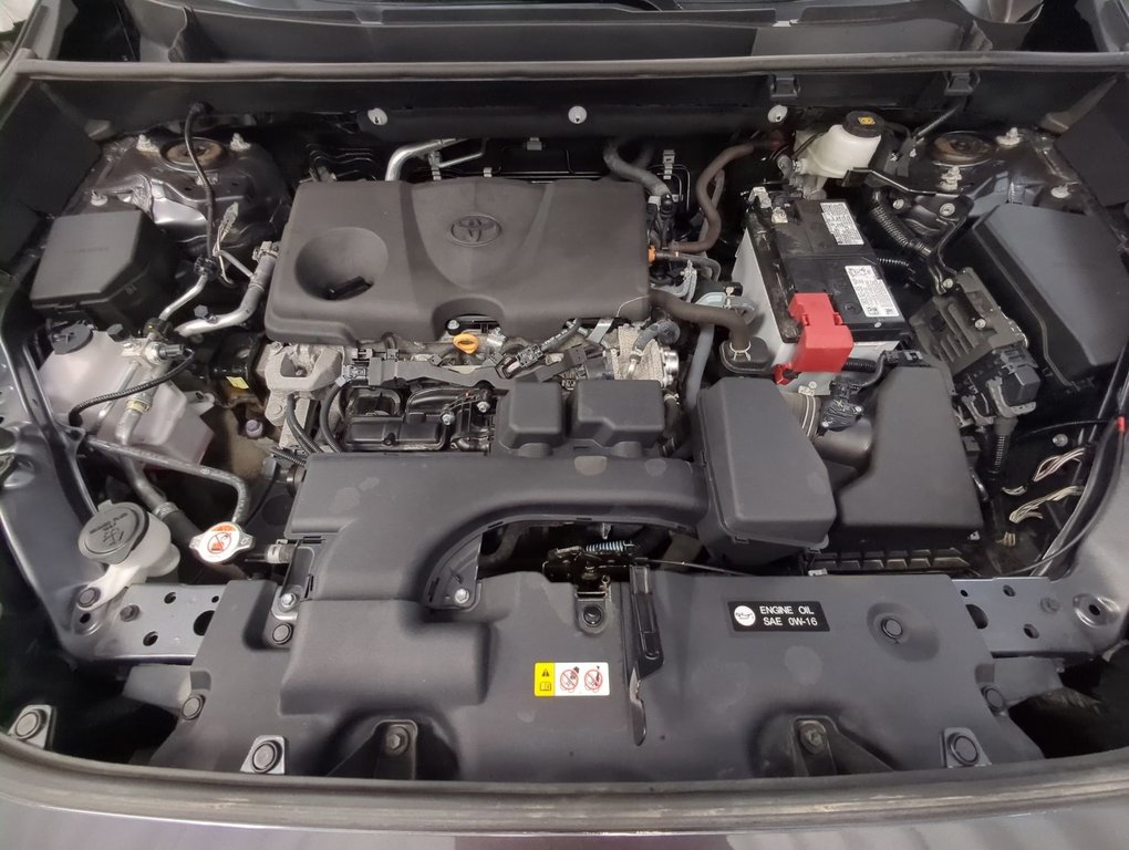 2024 Toyota RAV4 LE in Dartmouth, Nova Scotia - 24 - w1024h768px