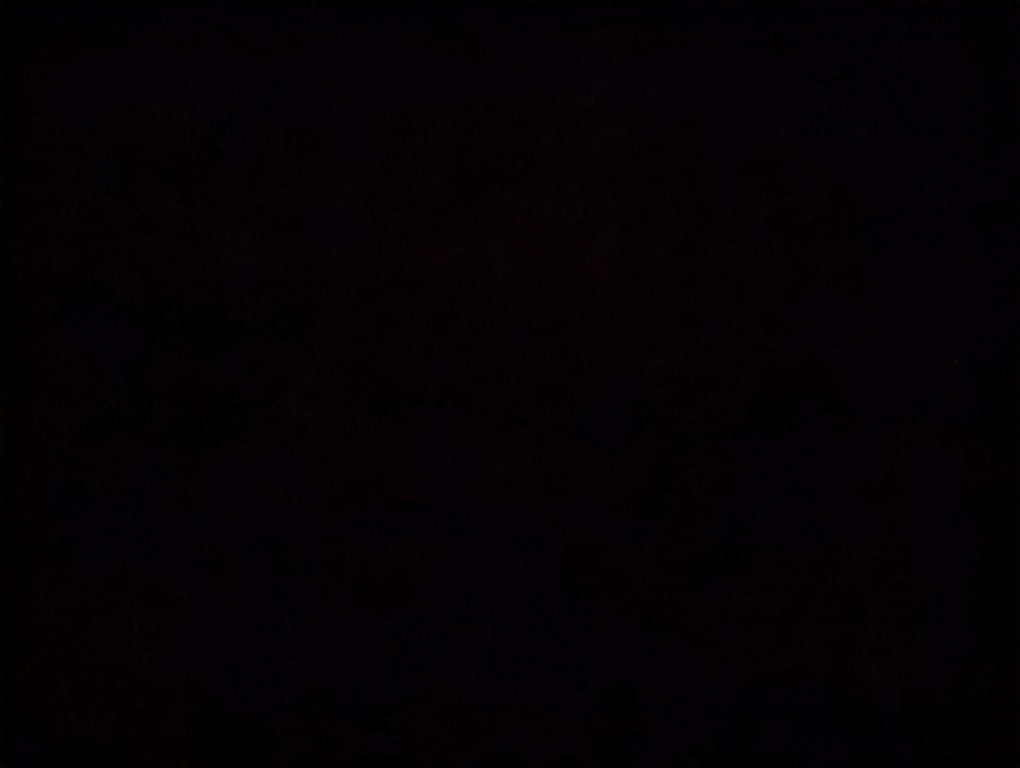 2019 Volkswagen Golf R BASE in Dartmouth, Nova Scotia - 22 - w1024h768px