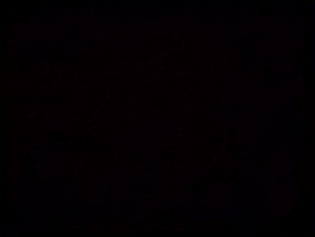 2023 Volkswagen Tiguan Comfortline in Dartmouth, Nova Scotia - 23 - w1024h768px