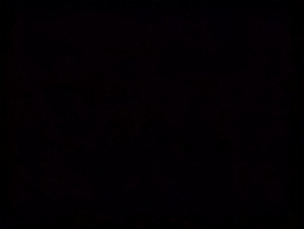 2024 Volkswagen Tiguan Comfortline in Dartmouth, Nova Scotia - 24 - w1024h768px