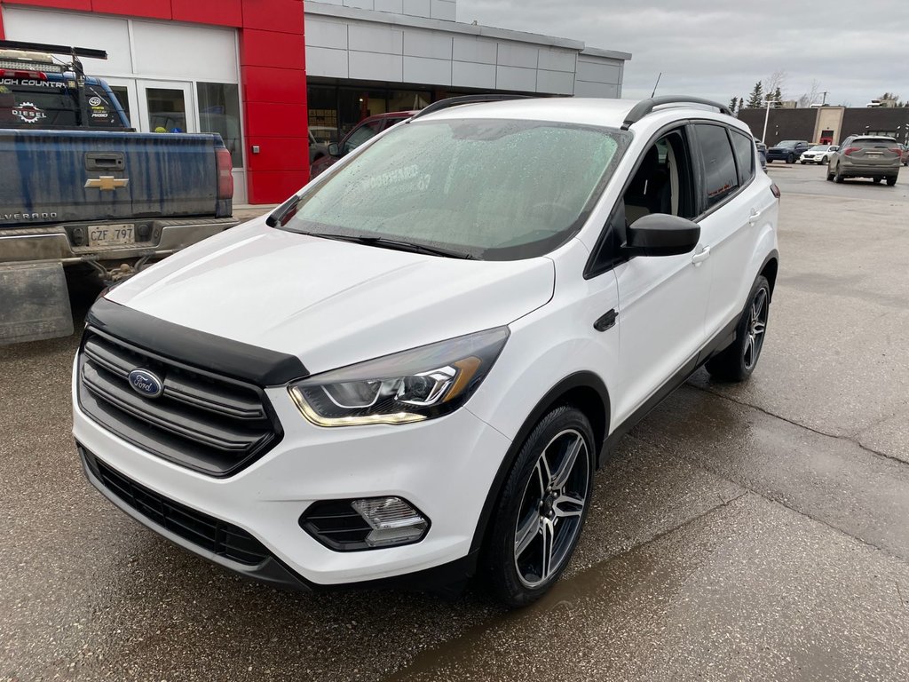 2019 Ford Escape in Deer Lake, Newfoundland and Labrador - 11 - w1024h768px