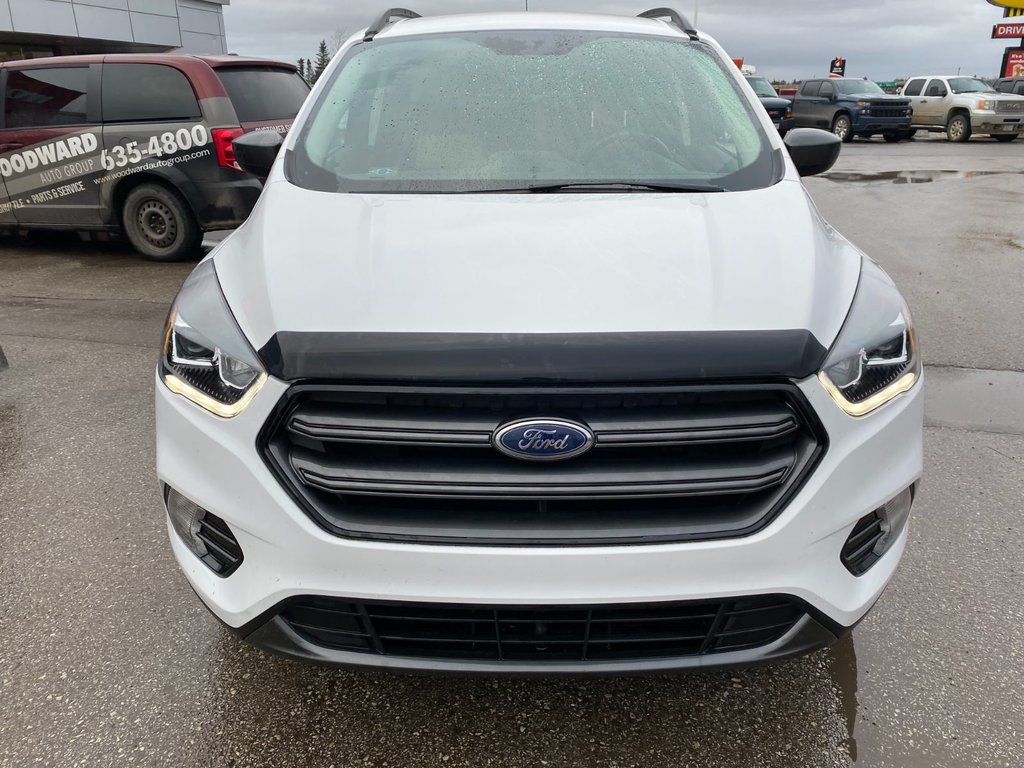 2019 Ford Escape in Deer Lake, Newfoundland and Labrador - 12 - w1024h768px