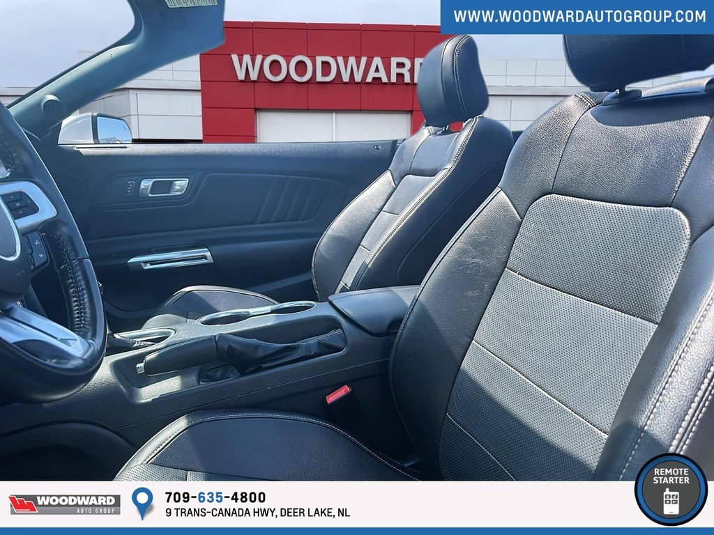 2023 Ford FORD in Deer Lake, Newfoundland and Labrador - 6 - w1024h768px
