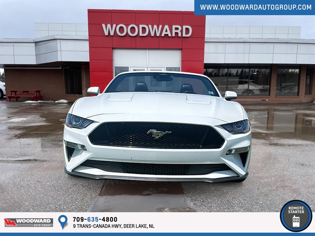 2023 Ford FORD in Deer Lake, Newfoundland and Labrador - 4 - w1024h768px