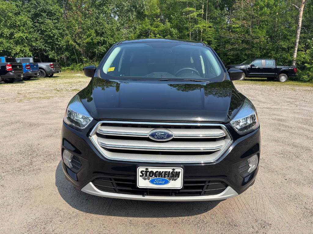 Ford Escape SE 2019 à North Bay, Ontario - 8 - w1024h768px