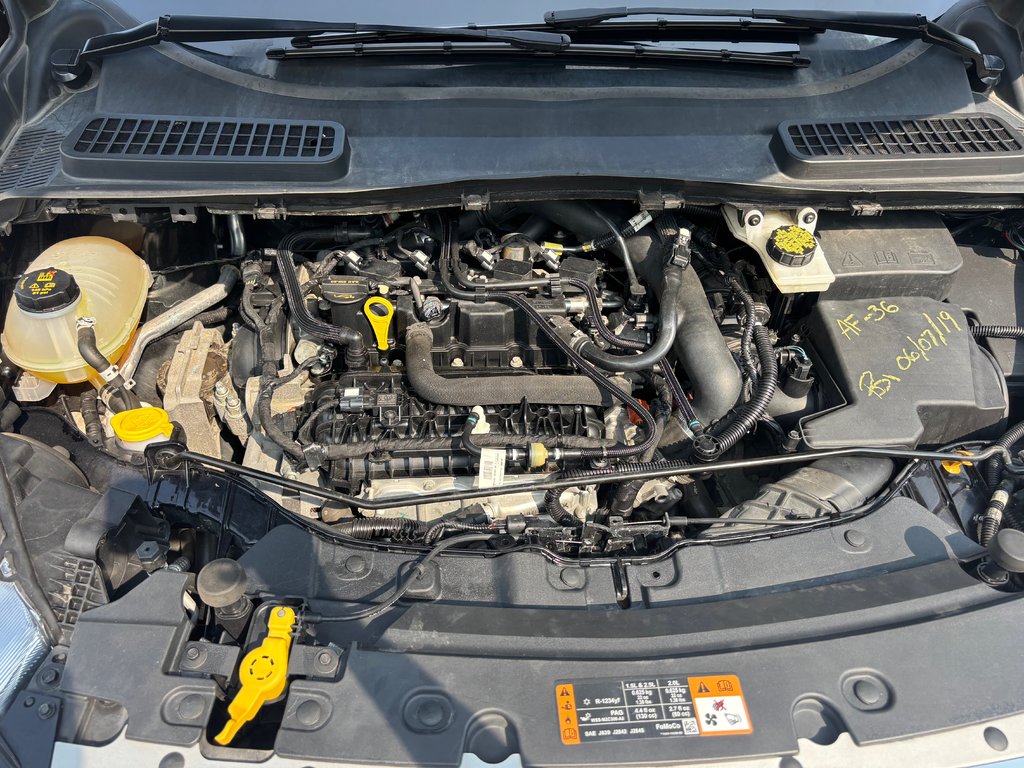 Ford Escape SE 2019 à North Bay, Ontario - 9 - w1024h768px