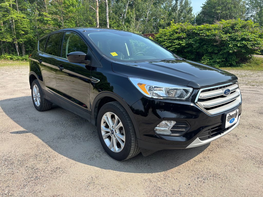 Ford Escape SE 2019 à North Bay, Ontario - 7 - w1024h768px