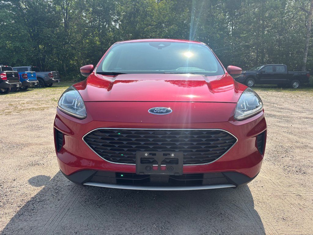 Ford Escape SE 2020 à North Bay, Ontario - 7 - w1024h768px