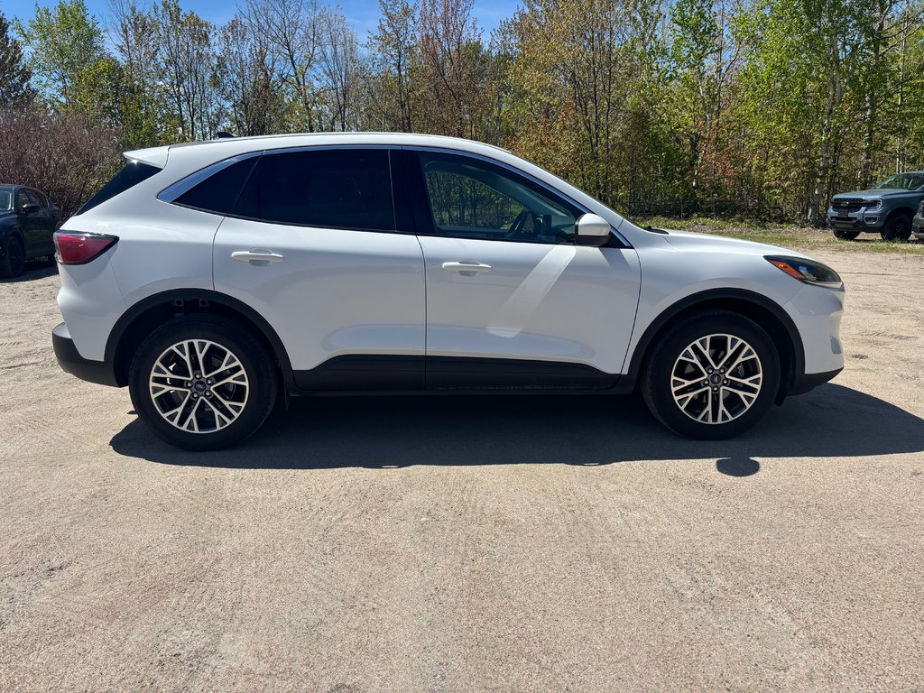 2022 Ford Escape SEL in North Bay, Ontario - 6 - w1024h768px