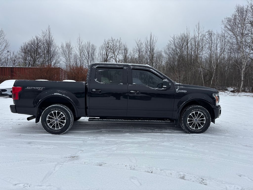 Ford F-150 XLT 2019 à North Bay, Ontario - 6 - w1024h768px