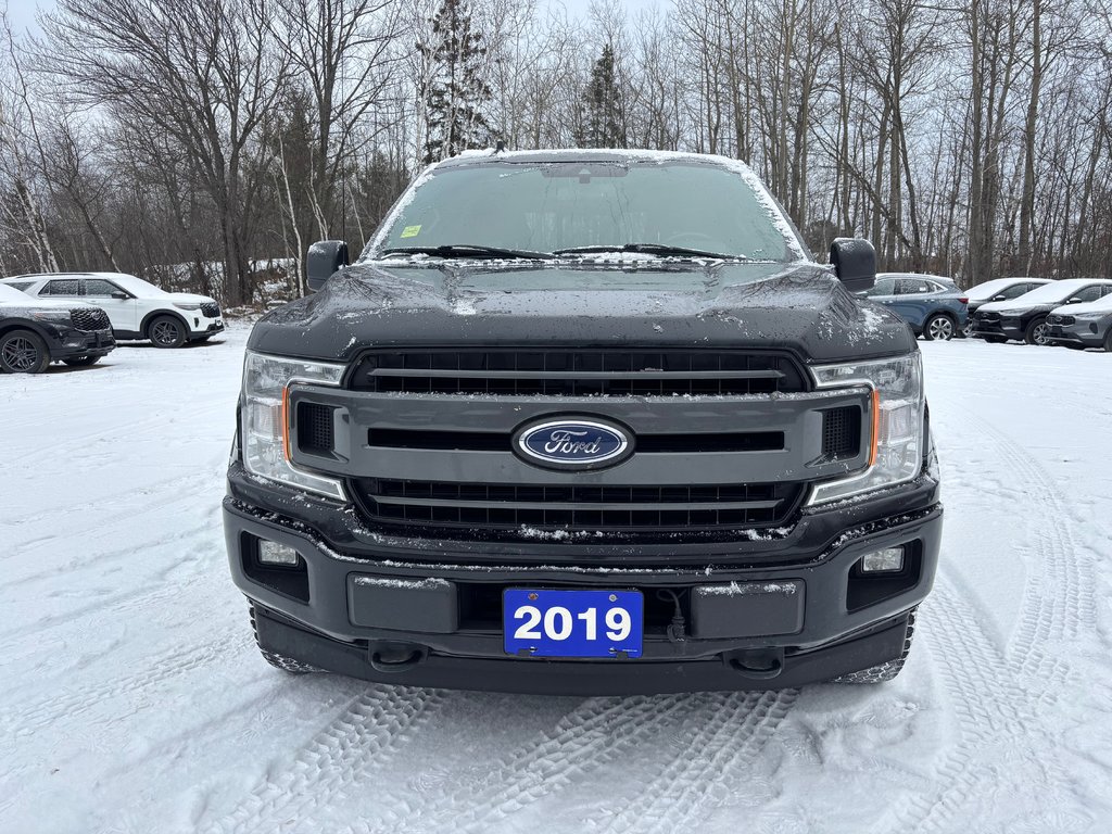 Ford F-150 XLT 2019 à North Bay, Ontario - 8 - w1024h768px