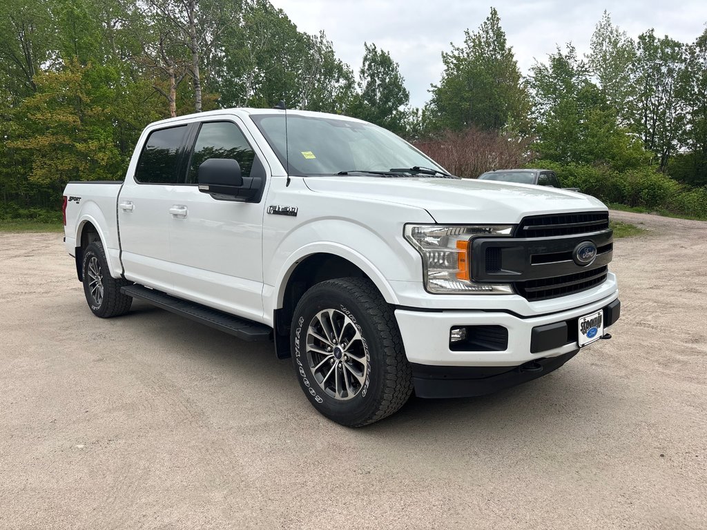 Ford F-150 XLT 2019 à North Bay, Ontario - 7 - w1024h768px