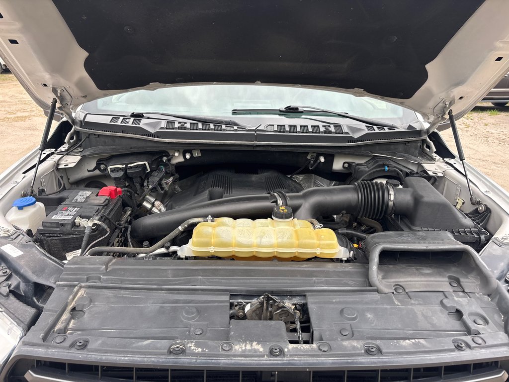 Ford F-150 XLT 2019 à North Bay, Ontario - 9 - w1024h768px