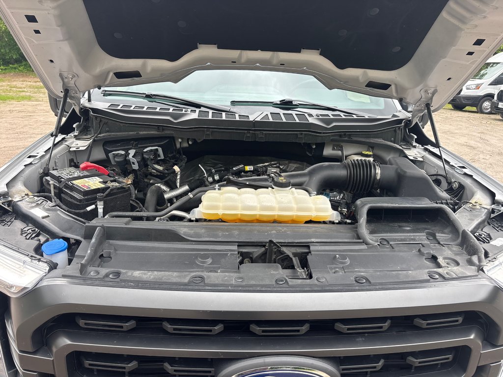 Ford F-150 XLT 2023 à North Bay, Ontario - 9 - w1024h768px