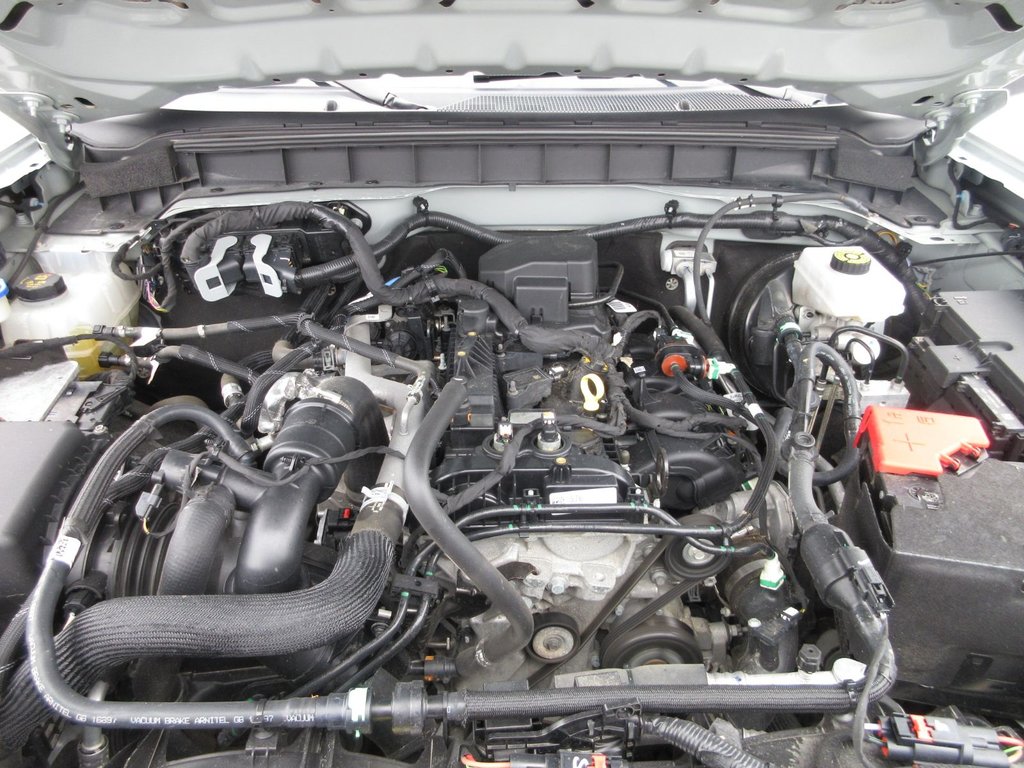 Ford Bronco Big Bend 2022 à North Bay, Ontario - 9 - w1024h768px