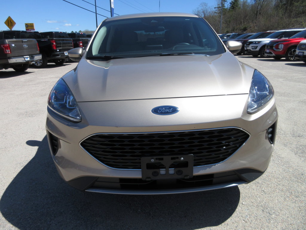 2020 Ford Escape SE in North Bay, Ontario - 8 - w1024h768px