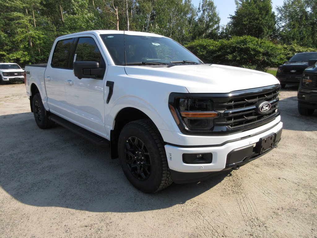 Ford F-150 XLT 2024 à North Bay, Ontario - 7 - w1024h768px