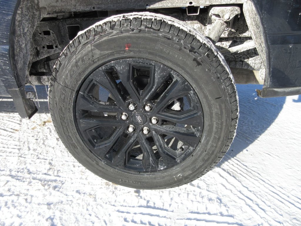 Ford F-150 XLT 2025 à North Bay, Ontario - 12 - w1024h768px