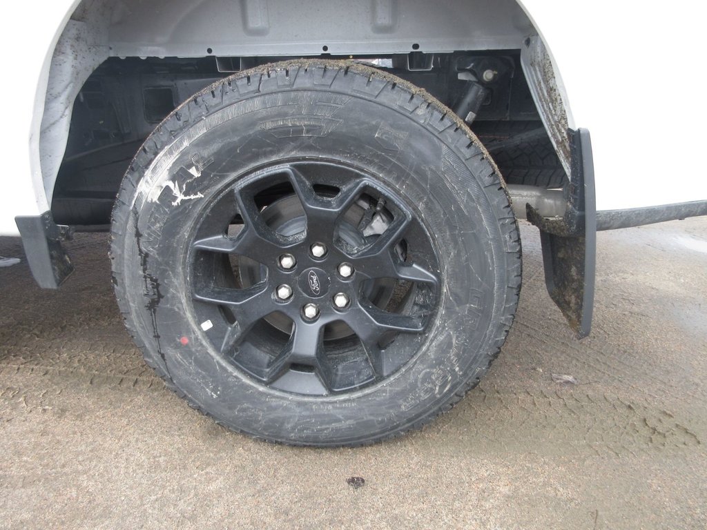 Ford F-150 STX 2025 à North Bay, Ontario - 12 - w1024h768px