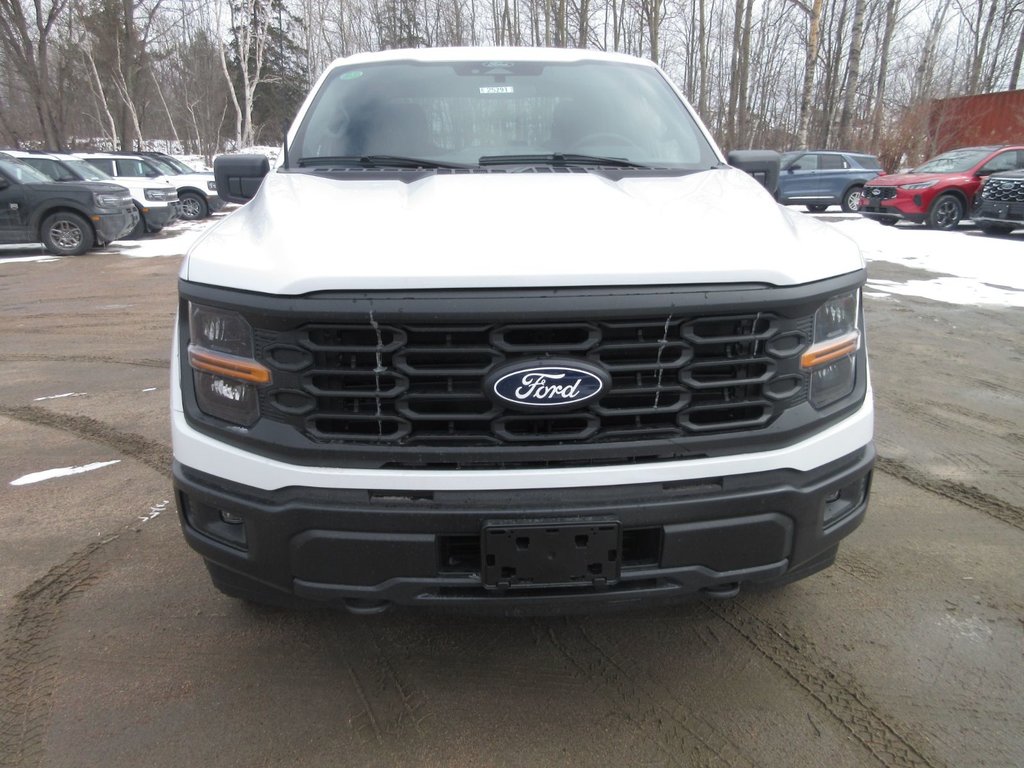 Ford F-150 STX 2025 à North Bay, Ontario - 8 - w1024h768px