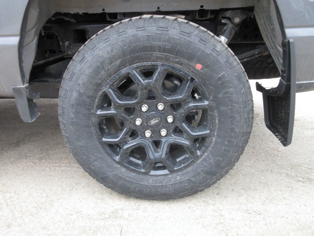 Ford F-150 XLT 2025 à North Bay, Ontario - 12 - w1024h768px