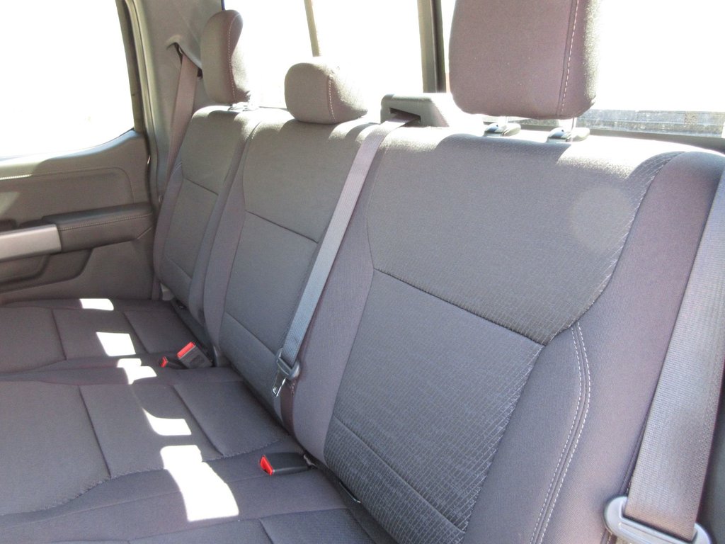 Ford F-150 XLT 2025 à North Bay, Ontario - 18 - w1024h768px