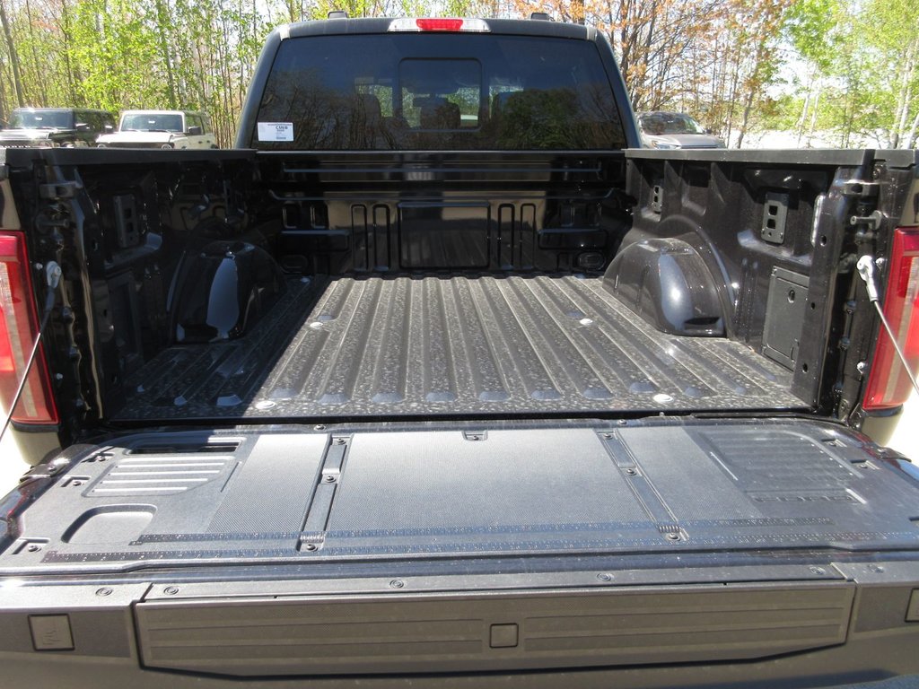 Ford F-150 XLT 2025 à North Bay, Ontario - 10 - w1024h768px