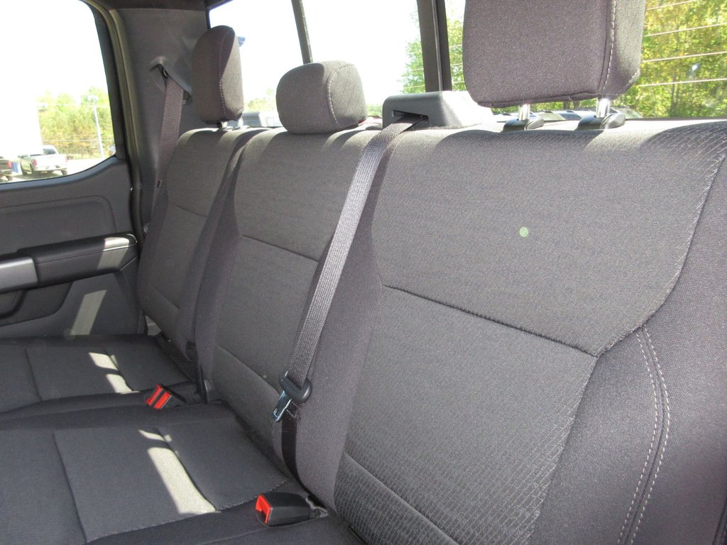Ford F-150 XLT 2025 à North Bay, Ontario - 18 - w1024h768px