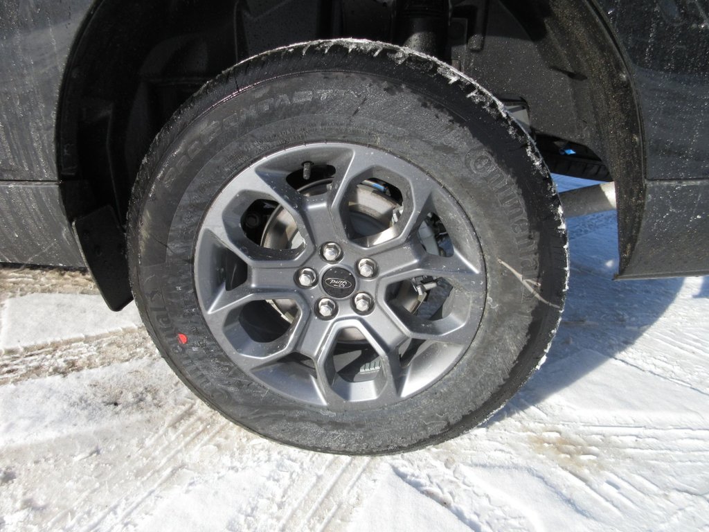 Ford Maverick XLT 2025 à North Bay, Ontario - 11 - w1024h768px