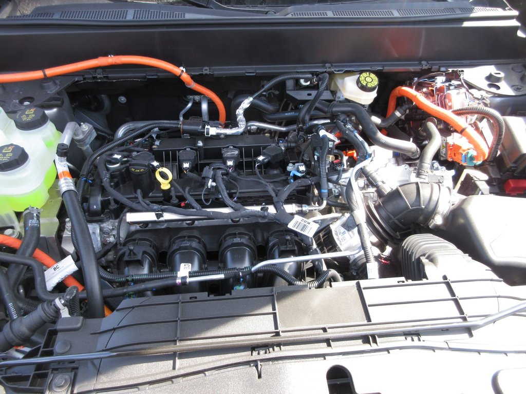Ford Maverick XLT 2025 à North Bay, Ontario - 9 - w1024h768px