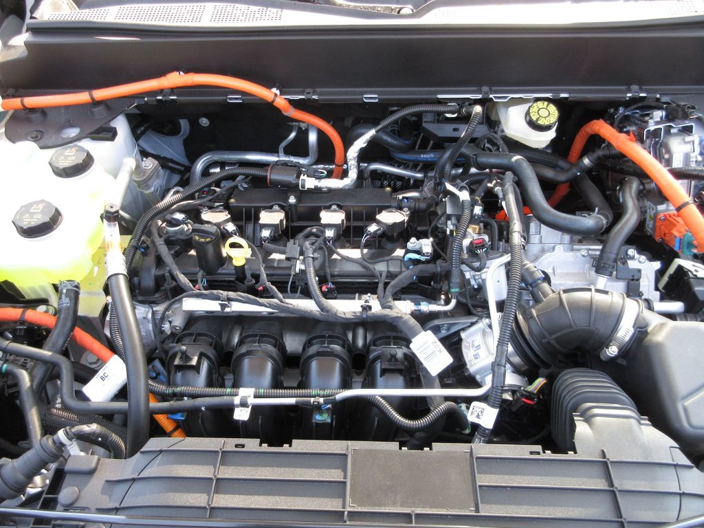 Ford Maverick XLT 2025 à North Bay, Ontario - 9 - w1024h768px