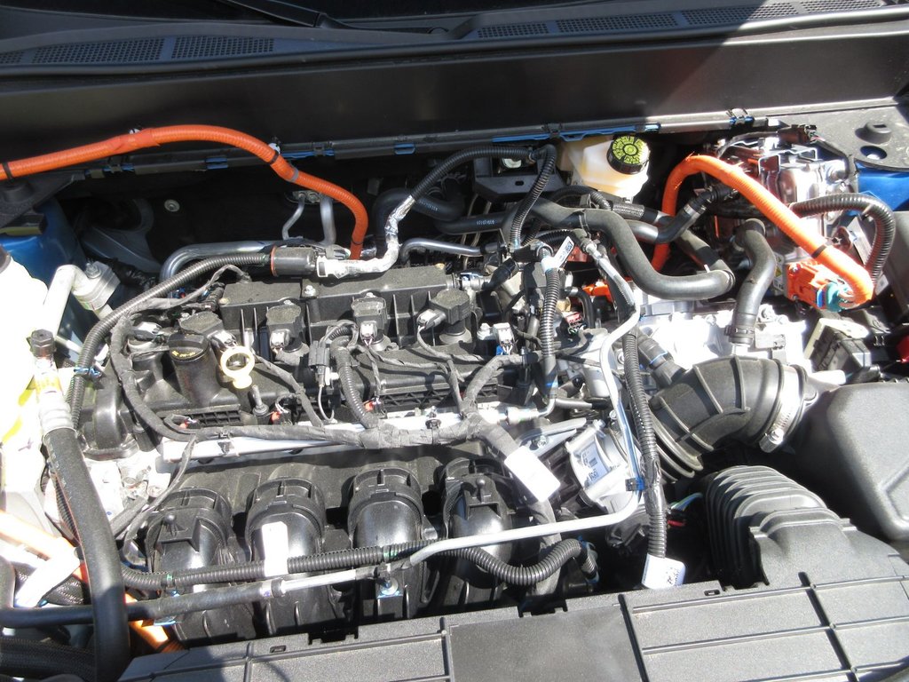 Ford Maverick XLT 2025 à North Bay, Ontario - 9 - w1024h768px