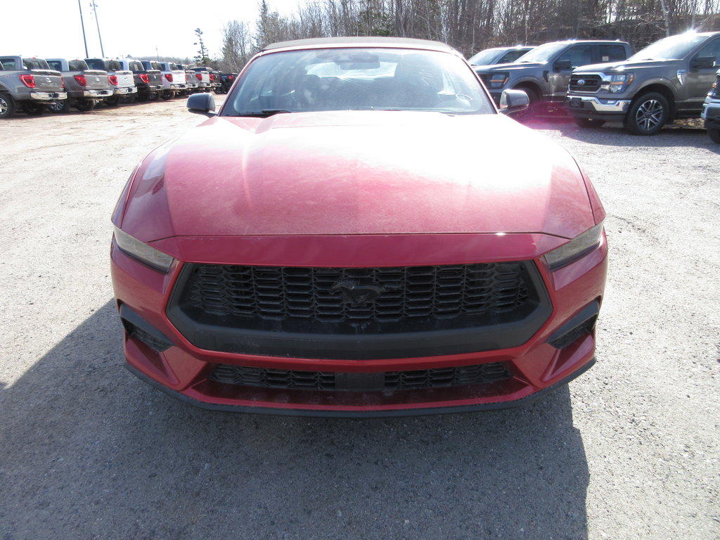 Ford Mustang EcoBoost Premium 2024 à North Bay, Ontario - 8 - w1024h768px