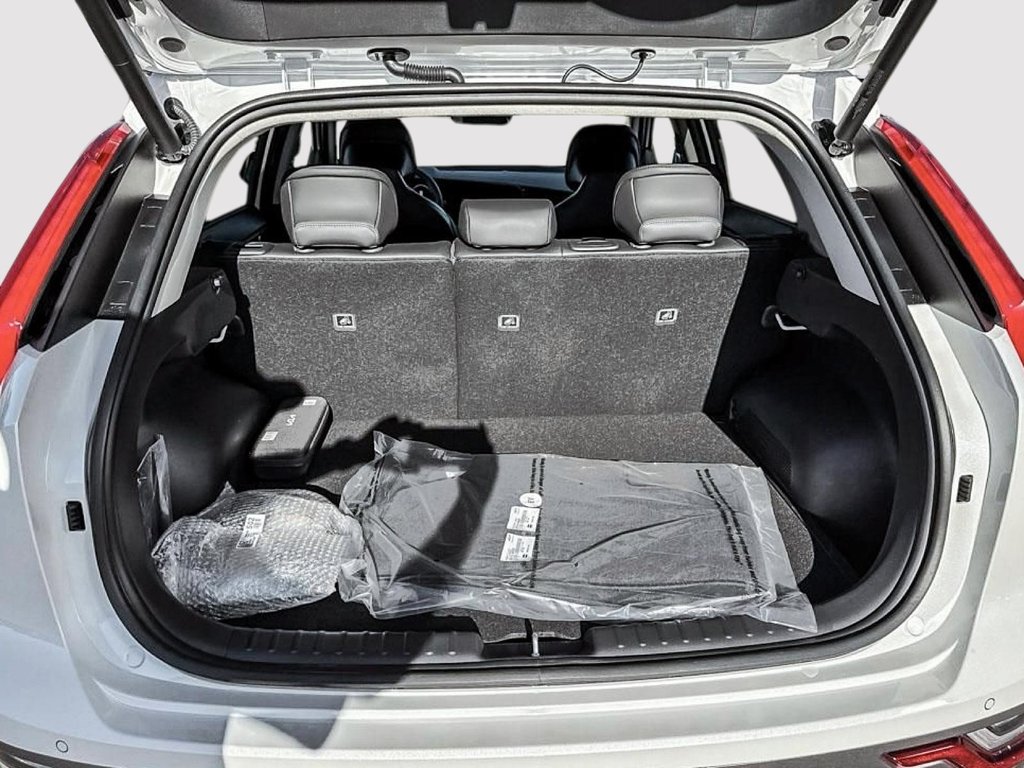 2026 Kia Niro EV Wave-5